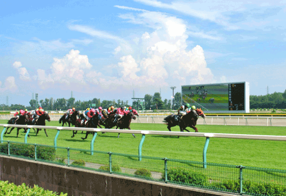 photograph of Niigata Horse Racecourse